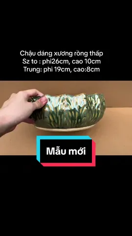 Chậu trồng cây #chaucaycanh #chaucayvanphong #chaucay #chautrongsensung 