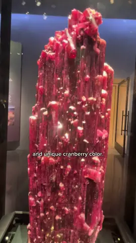 Tourmaline is just one of two birthstones associated with the month of October. Can you guess the other? #MuseumTok #geology #STEM #LibraSeason #ScorpioSeason