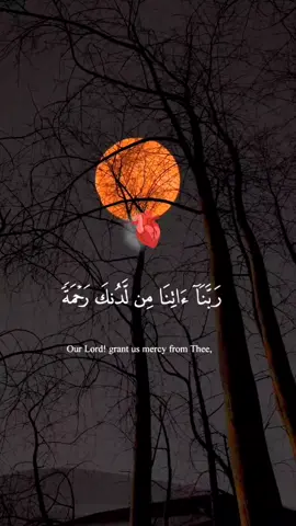 😍❤️اجمل تلاوة بصوت عفيف محمد تاج راحة نفسية 💆🏻‍♀️