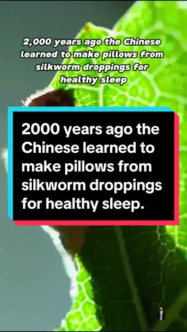 2000 years ago the Chinese learned to make pillows from silkworm droppings for healthy sleep.#culture #handcraft #handwork #fyp #foryou #ancient #china #chineseculture 
