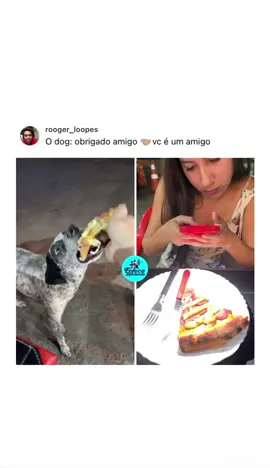 Vai ficar filmando 🍕😂 #memesbrasil #fofocamentando #ajudandocachorros #casalengracado #trolagem #caridade #comendopizza #animais 