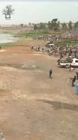 Sanké mô is a rite of collective fishing in the Sanké pond practiced in San, a town in Mali, every second Thursday of the seventh lunar month to commemorate the founding of the town. “Sanké mô: rite of collective fishing in Sanké” was included in 2009 by UNESCO on the list of intangible heritage.  The rite begins with the sacrifice of roosters and goats and with offerings from the inhabitants of the village to the water spirits who inhabit the Sanké pond. Collective fishing then takes place for fifteen hours using large and small mesh nets. It is immediately followed by a masked dance in the public square, in which Buwa dancers from San and surrounding villages perform who wear traditional costume and a hat decorated with cowrie shells and feathers, and who perform a particular choreography to the rhythm of various drums. The Sanké mon rite traditionally marks the start of the rainy season. It is also an expression of local culture through art and crafts, knowledge and know-how linked to fishing and water resources. It strengthens the collective values ​​of social cohesion, solidarity and peace between local communities. #goviral #viralvideo #mali #africa #westafrica 