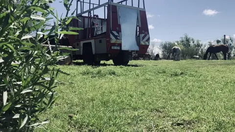 🚒🥰🇺🇾 cositas! 🤐🤫🤫🤫 #camion #hazlotumismo #motorhome #vanlife #manadasobreruedas 