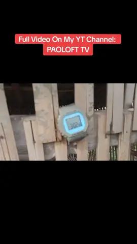 Dumating na kapatid ni 200 na si 201 Panoodin niyo na sa YT Channel ko: PAOLOFT TV❤️ #foryou #kalapatids #kalapatidsph🇵🇭 