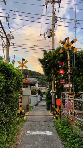 cuman video kereta lewat🚃🍃 #fyp #fypシ #fypシ゚viral #keretajepang #japantrain #train #densha #japanvibes #vibejepang #teadisionaljepang #budayajepang #japantravel #japan #senja #電車 #和歌山 #和歌山市 #和歌山電車 #日本の電車 