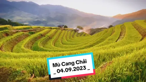 Mù Cang Chải 05.10.2023 lúa chín đẹp lắm rồi mọi ngừi ơi  #CapCut #mucangchai #mucangchaimualuachin #taybacvietnam #dulichvietnam #vietnamtravel #ditroncunghin 