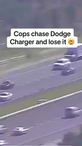 He called it a Scat Pack 🤣🤣🤣