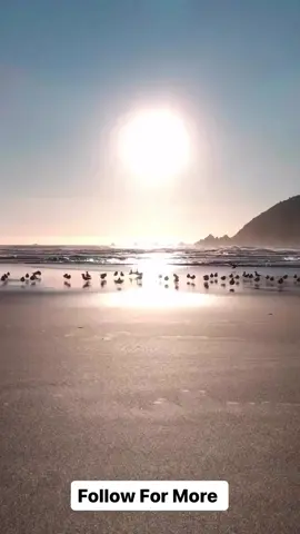 Save, Share & Follow. Click the L1NK in Bl0!  Changing your life involves a combination of mindset, habits, and actions. Here are steps to help you make positive changes: 1. Set Clear Goals: Define what you want to change and why. Make your goals specific, measurable, achievable, relevant, and time-bound (SMART). 2. Create a Plan: Outline the steps needed to achieve your goals. Break them down into smaller, manageable tasks. 3. Change Your Mindset: Cultivate a growth mindset. Embrace challenges and see failures as opportunities to learn and grow. #LifeIsGood #createyourself #createyourreality #beyourownhero #beyourownbrand #beyourown #digitalmarketingtraining #mentorships #mentorshipmatters #mentorshipprogram #freelancemarketing #singlemoms #singledad 