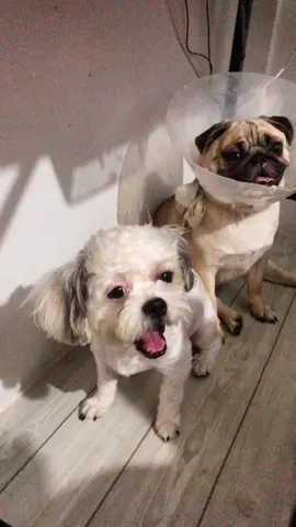 #นับเงินขี้ดื้อ #มีตังค์ขี้ดื้อ 