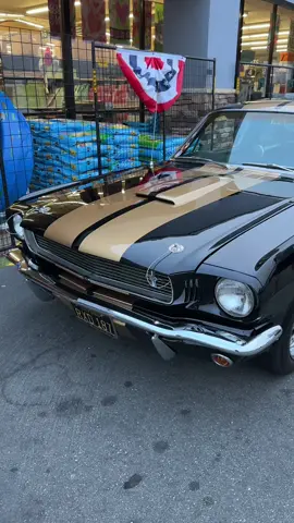 Shelby GT350H is a Hertz edition rental car collaboration that is now kinda rare in the classic car market  #hotrod #ford #chevy #musclecar #hotrods #ratrod #classiccars #classiccar #chevrolet #streetrod #custom #oldschool #musclecars #nova #vintage #fyp #foryoupage #foryou  #cars #americanmuscle #hotrodsandmusclecars #customcar #restomod #camaro #kustomkulture #mustang #carsofinstagram #kustom #classic #protouring