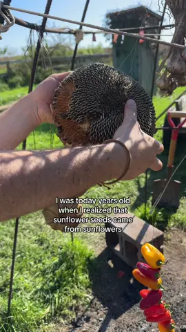 Did you know this? Yes or No?  