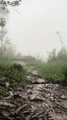 #nuichuachan #nhaydunuichuachan  Nói mấy đứa bạn em, nếu tụi mày giỏi thì bạn trai của tụi nó là Anh rồi.