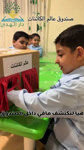 #نشاط #نشاطات_للاطفال #كائن #حية #غير #حية #أفكار #نشاطات_اطفال 