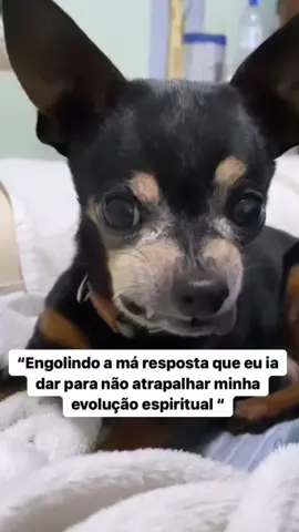 Me controlo pra não dizer umas vdds. #saudeespiritual #édissoqueeupreciso #😶😶😶😶😶😶 