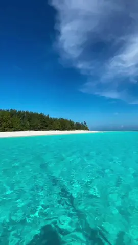 MNEMBA ISLAND This is the most famous Conservation area in Zanzibar. It consists of a seven by four kilometers reef, containing the tiny Mnemba Island. It is located on the north east side of Zanzibar right across from the town of Matemwe. Visibility in Mnemba Atoll is usually great with an average of 20 to 30 meters. Mnemba is famous for encounters with Common Dolphins as well as its picturesque reefs and searing blue ocean water. The dive sites around the island are part of the Mnemba Island Marine Conservation Area (MIMCA) and boast some of the best visibility conditions in Zanzibar. #zanzibar #mnembaisland #tropical #islandvibes #drone #zanzibardestination #zanzibarisland 
