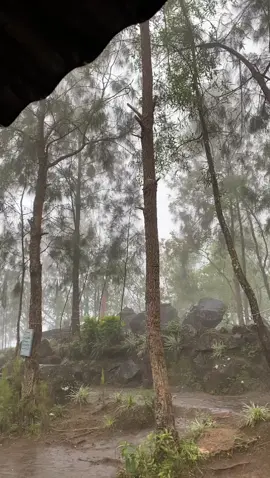 vibes hujan gunung Arjuno pos 5 #mangkutoromo #pendaki #arjuno #fyp #capcut 