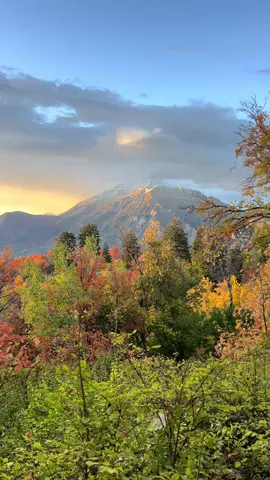 Utah #utah #utahliving #beutahful 