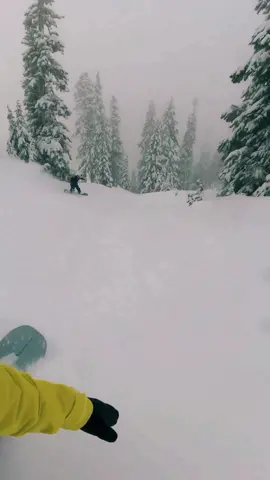 Фрирайд с трасы в красной паляне  #сноуборд #сноубординг #snowboarding #snowboard #koruashapes #korua #шерегеш #геш #фрирайд #freeride #powder #архыз #инструктор #snowboarding #powder #snowboard #sheregesh #фрирайд #паудер #сноуборд #шерегеш #сноуборд #сноубординг #геш #секторе #snowboards #краснаяполяна #сочи #горкигород #паудер 