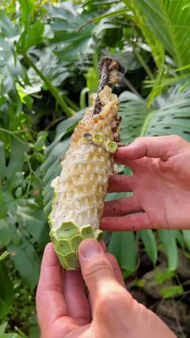 OMG 1 minute 😱 !! #asmr #fruit #fruits #usa #fyp #fypシ