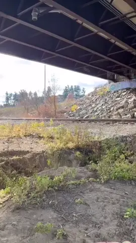 CN Rail railroad speeder transporting a portable toilet. #engineer #engineering #howitsmade #manufacturing #train #trains #trainspotting 