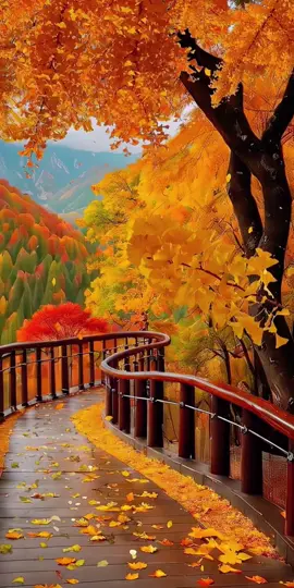 Love in late autumn #autumn #scenery #beautifulview #foryou #fyp 