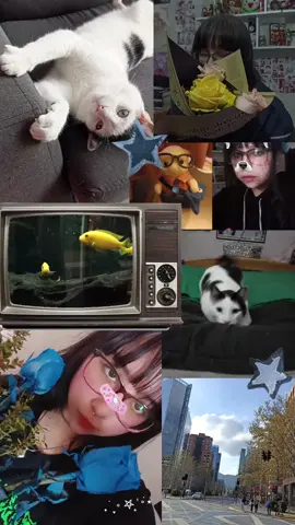 September dump (⁠◍⁠•⁠ᴗ⁠•⁠◍⁠)⁠✧⁠*⁠。 #CapCut #fypシ #trend #viral #fyp #aesthetic #milesmorales #cat #flowers #fishes #fyp #liferecently #plants #cats #sylvanianfamilies #silvanian #paisaje #cloudy #yato 