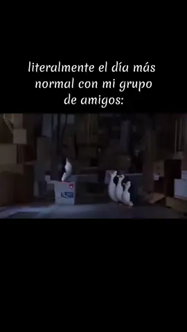 tampoco hay que presumir cabo #fyp #fypシ #parati #foryou #xbyzca #crzgf #meme #memes #momentoxd #xd #comedia #shitpost #lospinguinosdemadagascar #skipper #kobalsky #rico #cabo #tampocohayquepresumircabo #amigos #grupodeamigos #yoymisamigos #eldiamasnormal #clarenceintro 