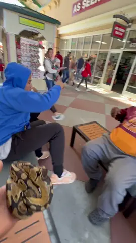 SNAKE PRANK GONE WRONG🤣🤣🤣**STAGED**PRANK** #fyp #foryou #repost #explore #funny #blowthisup 