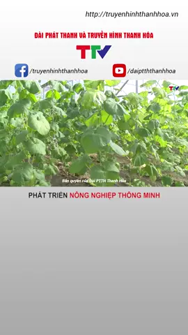 Phát triển nông nghiệp thông minh #nongnghiep