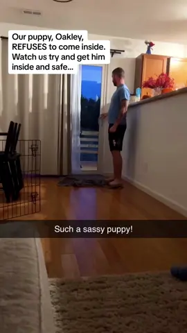 The man’s face at the end was priceless 🤣🤣🤣 #Pubity (@Laila Frank via @collab)