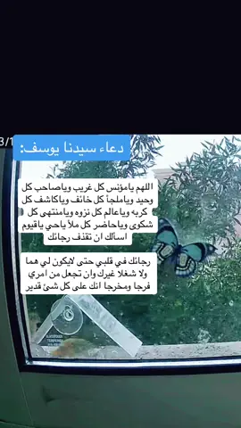 #دعاء#يارب#النبي_يوسف_عليه_السلام🌹☝🏻 