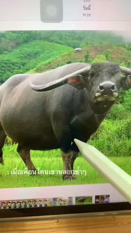 รับซื้อฟางแบบบุฟเฟต์ให้เพื่อน5555555#ฟีดดดシ #แกล้งเพื่อน #ขําๆนะ 