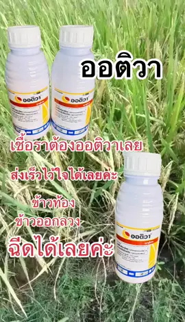 ออติว่า#ร้านวเกษตร #เกษตรกร #รู้จักTikTok 