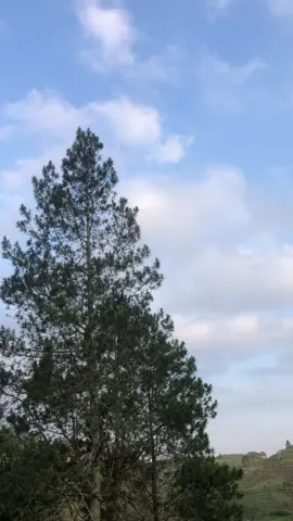 Sorenya cikajang kalau kemarau 🥰 indah banget sejuk ademmm  #cikajanggarut #kebunteh #kebuntehcikajang #kebuntehcikajanggarut #alamindonesia 