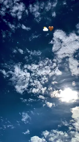 عوض الله مذهل ويستحق الانتظار..... ؟