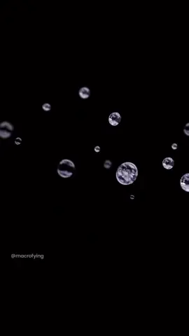 You’ve never seen perfume like this 🤯 What a great macro video 😍 By the legendary @macrofying  #filmmaker #videographer #videocreatorsworld #contentcreator #videocreator #videoedits #macro #closeup #macrophotography #macrovideo #parfume #drop #waterdrop #fyp #foryoupage #explorepage #amazed #amazingvideos #commercial 
