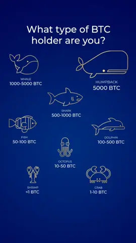 🌊🦈🐟 Dive into the ocean of crypto with us!  What type of BTC holder are you? 🚀 Are you riding the waves as a HUMPBACK with 5000 BTC in your wallet, making waves in the crypto world? 🐋 Or perhaps you're a WHALE, swimming strong with 1000-5000 BTC, controlling the tides? 🌊  Maybe you're a SHARK, navigating the waters with 500-1000 BTC, always ready to strike when the time is right? 🦈 Or perhaps you're a nimble DOLPHIN, flipping through the markets with 100-500 BTC, seeking opportunities? 🐬 If you're more on the cautious side, you might be a FISH, comfortably swimming with 50-100 BTC, growing steadily. 🐟 Or are you an OCTOPUS, with 10-50 BTC, using your multiple tentacles to explore various crypto projects? 🐙  Even if you're just starting out, don't be shy! Embrace your inner CRAB, with 1-10 BTC, and slowly crawl your way to bigger treasures. 🦀 And hey, every crypto journey begins somewhere, so if you're a SHRIMP with less than 1 BTC, you're still part of this incredible underwater adventure! 🍤💰  Tell us your crypto story! 🌐 Share your BTC status in the comments, and let's celebrate the diversity of the crypto community together! 🚀🌊💎#crypto  #cryptolife #btcjourney #cryptocommunity #btc #iMine