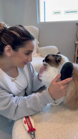 Big changes, big love, and new routines for our fur babies. #ZestyPaws #AD #fyp #foryou #foryoupage 