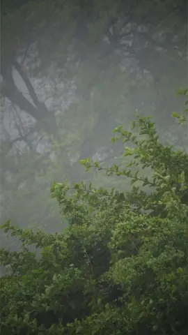 #اللهم_صل_وسلم_على_نبينا_محمد #صلوا_على_رسول_الله #ان_الله_وملائكته_يصلون_على_النبي_ #يوم_الجمعه #صلاة_الجمعة #سورة_الكهف #مقاطع_دينية #اكسبلورexplore #ترند_تيك_توك #اكسبلورر #أبو_سالم_الصميدي #مكة #الصلاة_والسلام_عليك_ياحبيبي_يارسول_الله #الصلاة_الابراهيمية #الصلاة_على_النبى 