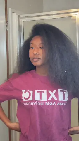 somethimg simple💕 i love blow dried styles #blowdried #fyp #water #spacebuns #healthyhair 