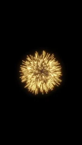 Firework made with EmberGen rendered with Blender •#embergen #blender #3dsimulation #3dfireworks #3danimation #3d #3dvisualization 