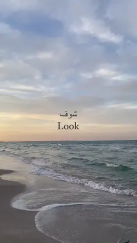 💙💦 #ترند_تيك_توك #dfypシ #follower #fypシ゚viral🖤tiktok #ترند #تيك_توك #تصميمي #tunisia🇹🇳_algeria🇩🇿_maroc🇲🇦_libya🇱🇾 