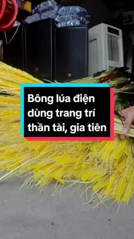 Sản phẩm bông lúa điện 1 bộ gồm 10 bông , 1 bông có 8 hát lúa tặng kèm phích cắm