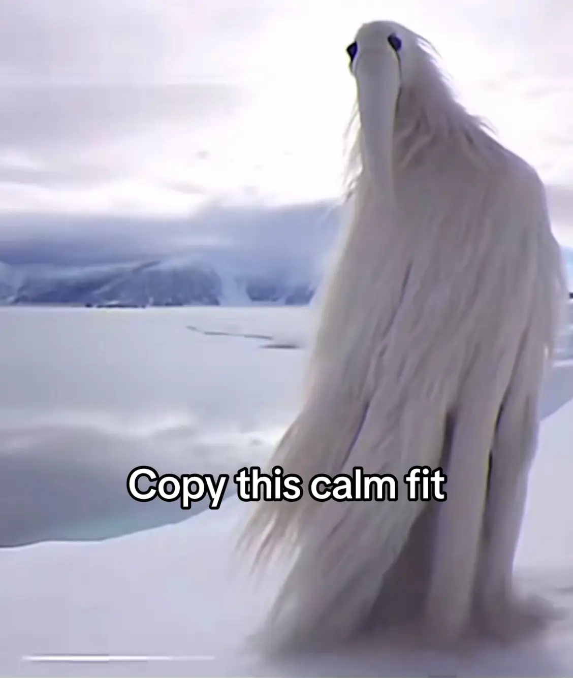 #luhcalmfit #calmfit #opiumbirds #erosionbird #fyp #fy #viral #blowthisup #trending #foryoupage #tiktok #fypシ #fyyyyyyyyyyyyyyyy #memes #meme #funny 