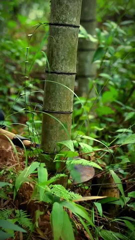 #work #foryou #trending #satisfying #bamboo 