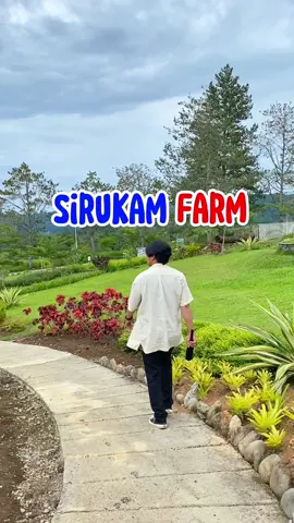 Ada yang baru di solok nih🐄 #sirukamdairyfarm #sirukam #solok 