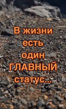 #топ#цитатысосмысломжизни#врекомендации 