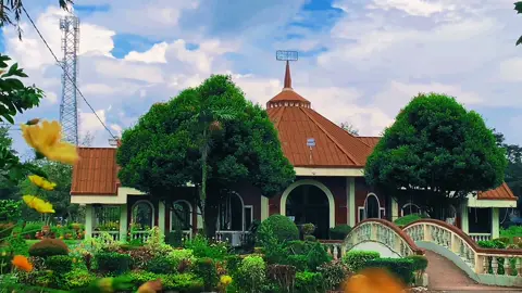 Introducing Central Mindanao University #cinematography #foryoupage #midnightcity #itgoeslikethis #cinematic #naturecinematography #capcut #foryoupage #centralmindanaouniversity 