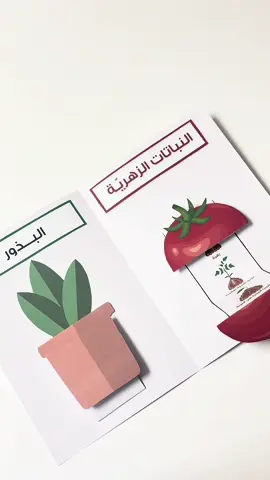 شوفوا الفن ياخي #مطويات #ابتدائي #علوم #مطوية_علوم  #مدرسة #القطيف_الشععب_اللطيف 