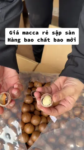 Mắc ca ngon mới và rẻ. Mại vô mại vô mọi người ơi#hatmacca #hatmaccadaklak #maccadaklak #nhanmacca 